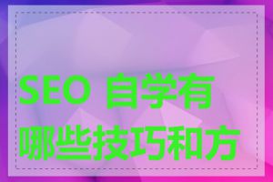 SEO 自学有哪些技巧和方法