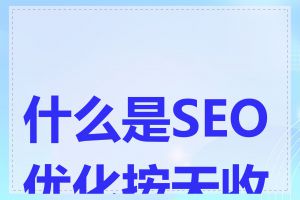 什么是SEO优化按天收费