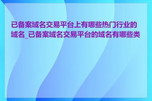 已备案域名交易平台上有哪些热门行业的域名_已备案域名交易平台的域名有哪些类型