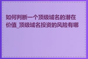 如何判断一个顶级域名的潜在价值_顶级域名投资的风险有哪些