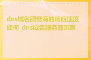 dns域名服务商的响应速度如何_dns域名服务商哪家好