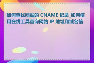 如何查找网站的 CNAME 记录_如何使用在线工具查询网站 IP 地址和域名信息