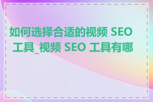 如何选择合适的视频 SEO 工具_视频 SEO 工具有哪些