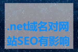 .net域名对网站SEO有影响吗