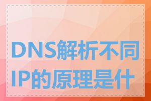 DNS解析不同IP的原理是什么