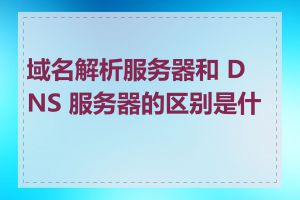 域名解析服务器和 DNS 服务器的区别是什么