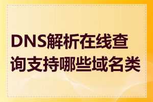 DNS解析在线查询支持哪些域名类型