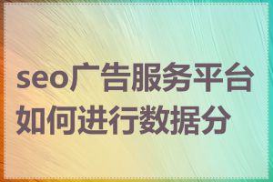 seo广告服务平台如何进行数据分析