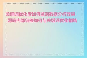 关键词优化后如何监测数据分析效果_网站内部链接如何与关键词优化相结合