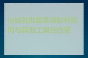 ip域名批量查询软件如何与其他工具结合使用