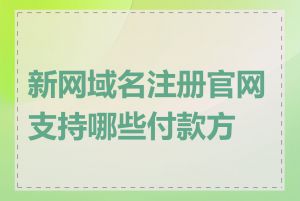 新网域名注册官网支持哪些付款方式