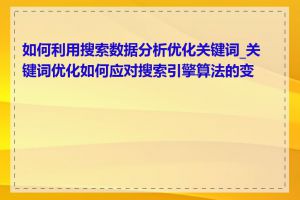 如何利用搜索数据分析优化关键词_关键词优化如何应对搜索引擎算法的变化