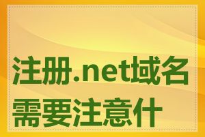 注册.net域名需要注意什么