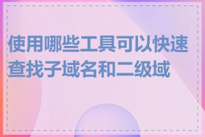 使用哪些工具可以快速查找子域名和二级域名