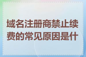 域名注册商禁止续费的常见原因是什么