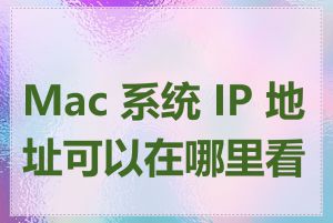 Mac 系统 IP 地址可以在哪里看到