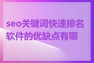 seo关键词快速排名软件的优缺点有哪些