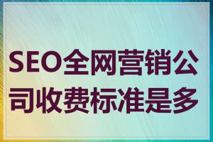 SEO全网营销公司收费标准是多少