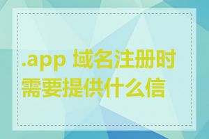 .app 域名注册时需要提供什么信息