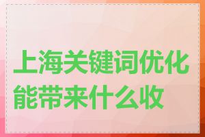 上海关键词优化能带来什么收益