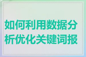 如何利用数据分析优化关键词报价