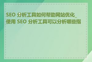 SEO 分析工具如何帮助网站优化_使用 SEO 分析工具可以分析哪些指标