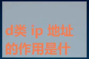 d类 ip 地址的作用是什么