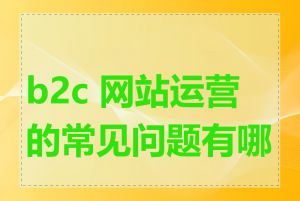 b2c 网站运营的常见问题有哪些