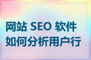 网站 SEO 软件如何分析用户行为