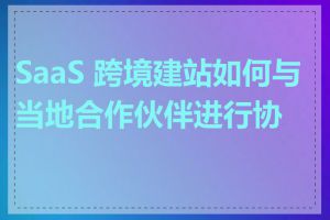 SaaS 跨境建站如何与当地合作伙伴进行协作