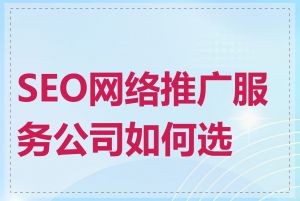 SEO网络推广服务公司如何选择