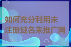 如何充分利用未注册域名来推广网站