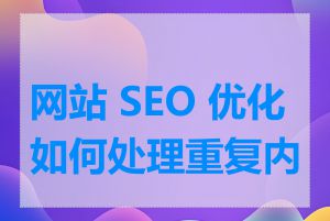 网站 SEO 优化如何处理重复内容