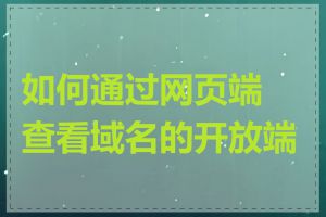 如何通过网页端查看域名的开放端口