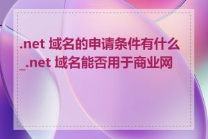 .net 域名的申请条件有什么_.net 域名能否用于商业网站