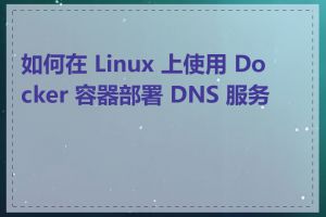 如何在 Linux 上使用 Docker 容器部署 DNS 服务器