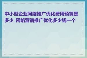 中小型企业网络推广优化费用预算是多少_网络营销推广优化多少钱一个月