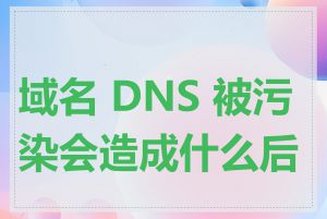 域名 DNS 被污染会造成什么后果