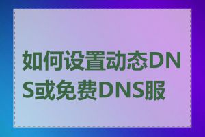 如何设置动态DNS或免费DNS服务