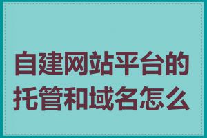 自建网站平台的托管和域名怎么选