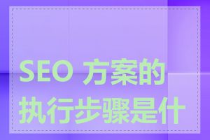 SEO 方案的执行步骤是什么