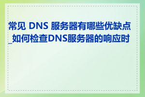 常见 DNS 服务器有哪些优缺点_如何检查DNS服务器的响应时间