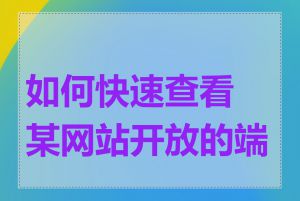 如何快速查看某网站开放的端口