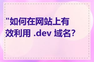 "如何在网站上有效利用 .dev 域名？"