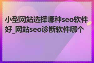 小型网站选择哪种seo软件好_网站seo诊断软件哪个好