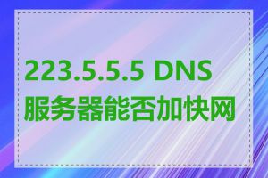 223.5.5.5 DNS服务器能否加快网速