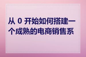 从 0 开始如何搭建一个成熟的电商销售系统