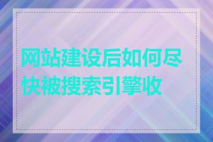 网站建设后如何尽快被搜索引擎收录