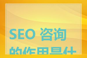 SEO 咨询的作用是什么