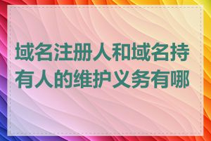 域名注册人和域名持有人的维护义务有哪些